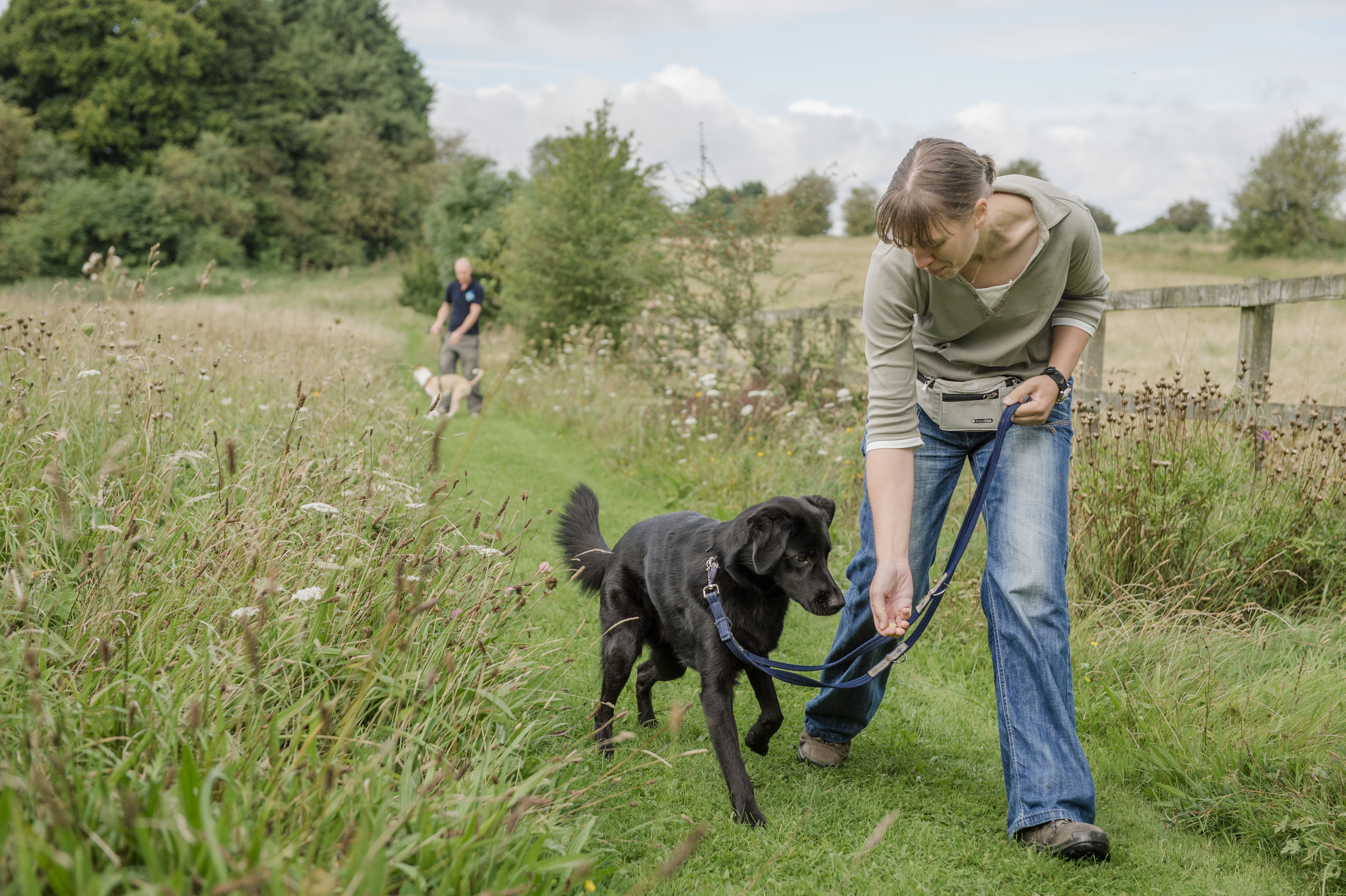 Is cheese bad for dogs uk sale